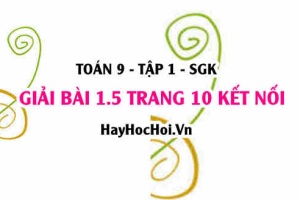 Bài 1.5 trang 10 Toán 9 tập 1 Kết nối tri thức SGK
